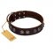 "King Arthur" FDT Artisan Brown Leather dog Collar with Spiky Plates