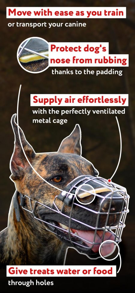 Dog Basket Muzzles Everyday Wire Cage Muzzle