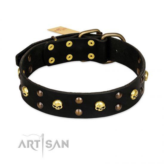 2in leather deals dog collar