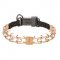 'Easy Taming' Curogan Pinch Prong Dog Collar for Behavior Correction