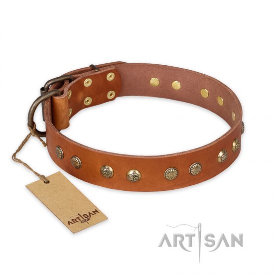"Spring Flavor" FDT Artisan Adorned Leather dog Collar with Old Bronze-Plated Engraved Studs