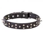 "Star-studded Sky" Leather Dog Collar
