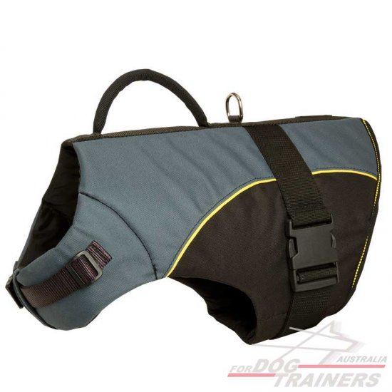 Rehabilitation / Winter Dog Nylon Vest