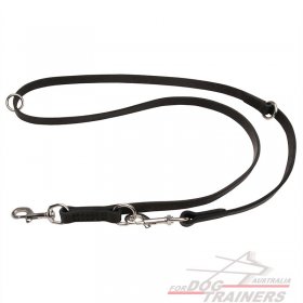 Leather Dog Leash for Training, Walking, Tracking