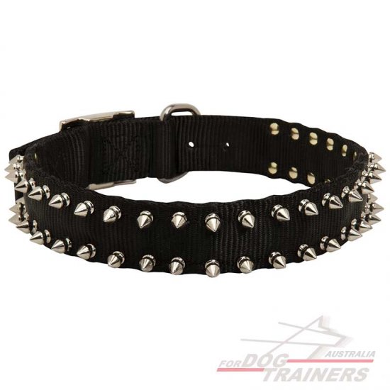 Waterproof Nylon Dog Collar with Spikes