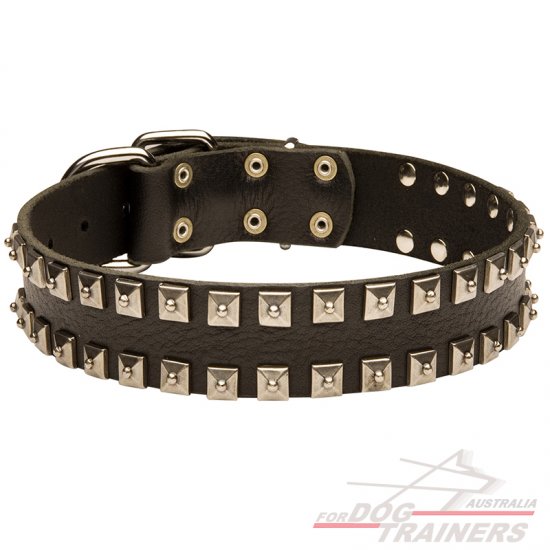 Fashionable Studded Leather Collar