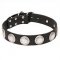 "Maya Indians" Wide Leather Dog Collar with Chrome Plated Circles