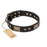 "Jewel Passion" FDT Artisan Fashionable Black Leather dog Collar