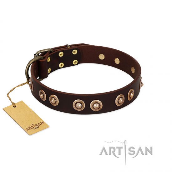 "Woofy Art" FDT Artisan Brown Leather dog Collar Adorned with Old Bronze-like Studs - Click Image to Close