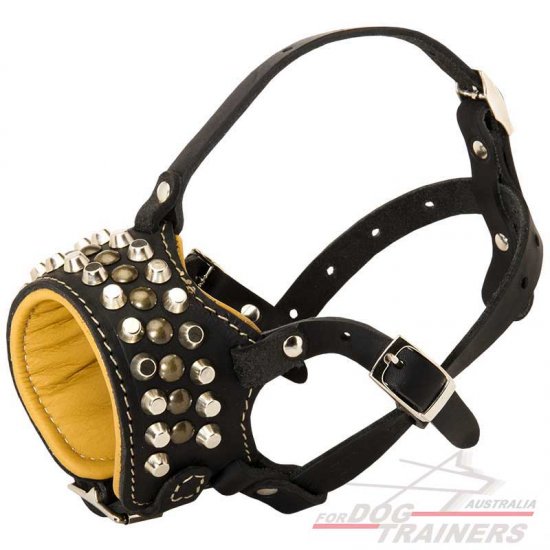 Fashion Studded Nappa Padded Dog Leather Muzzle