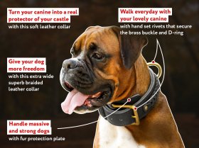 Braided Wide 2 Ply Leather Dog Collar