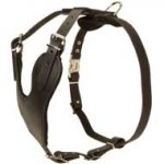 Y-shape Attack/Protection Training Leather Dog Harness