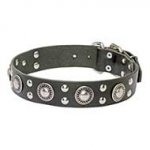 'Rock'n'Roll' Stylish Leather Dog Collar
