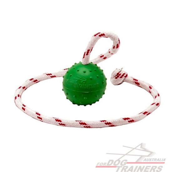 Colorful Rubber Dog Ball