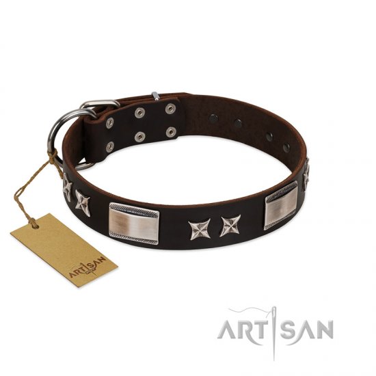"Satin Beauts" FDT Artisan Brown Leather dog Collar with Stars and Plates