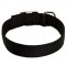 2 Ply Nylon Wide Dog Collar