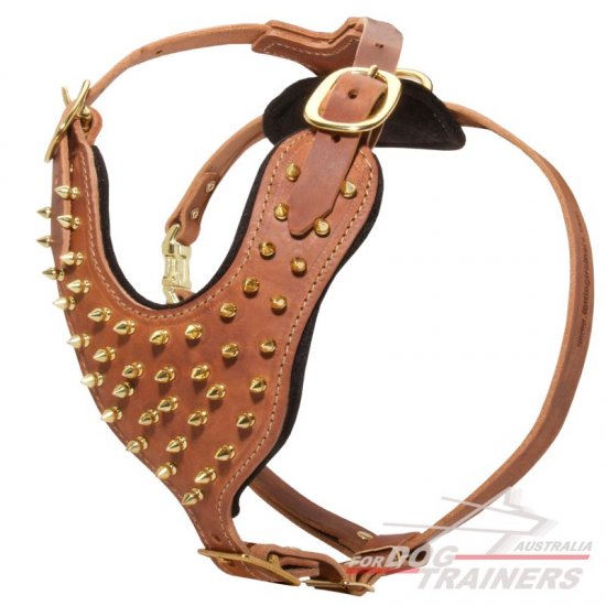 Exquisite Padded Leather Dog Harness with Brass Spikes - Click Image to Close