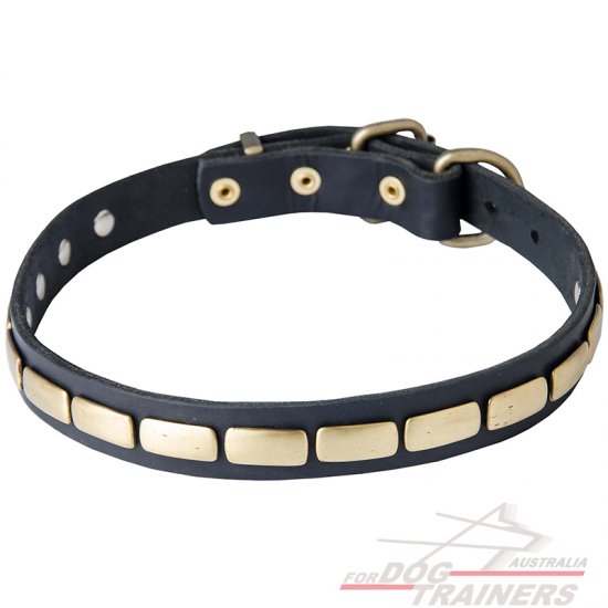 Quality Leather Dog Collar