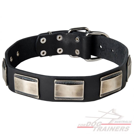 Wide Leather Dog Collar for Walking