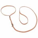 Thin Nylon Lead and Collar Combo for Dog Show
