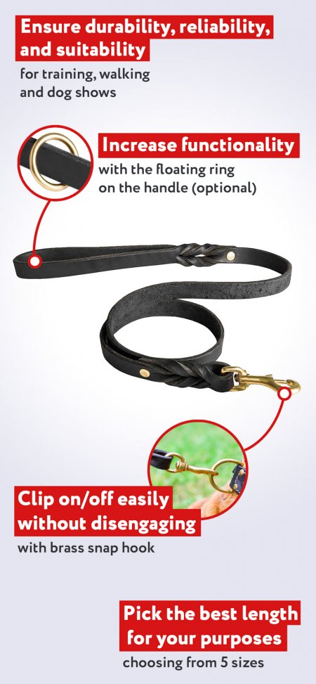 Leather dog leash with short braids