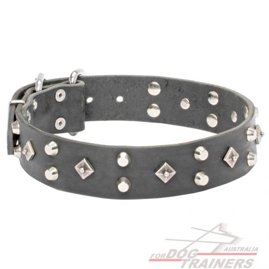 Leather Dog Collar "Pyramid of Cheops" with Decoration