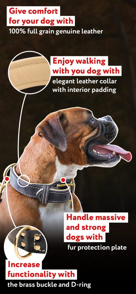 Comfortable Nappa Padded Leather Collar