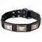 Wide Leather Dog Collar for Walking