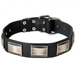 Wide Leather Dog Collar for Walking