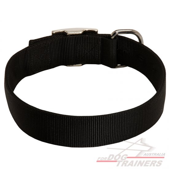 2 Ply Nylon Wide Dog Collar