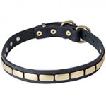 Quality Leather Dog Collar