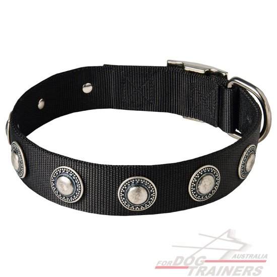 Fashionable Nylon Dog Collar with Silvery Conchos