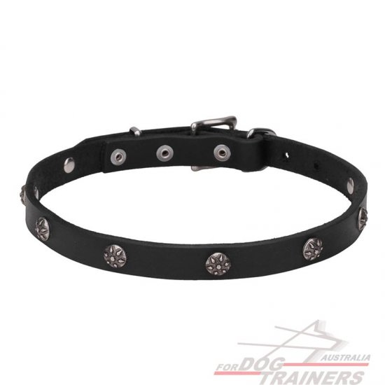 "Sparkling Beauty" 4/5 inch (20 mm) wide Leather Dog Collar with Chrome Plated Engraved Studs