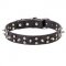 "Star-studded Sky" Leather Dog Collar
