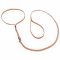 Thin Nylon Lead and Collar Combo for Dog Show