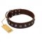 "Dark Chocolate" Handmade FDT Artisan Brown Leather dog Collar with Studs