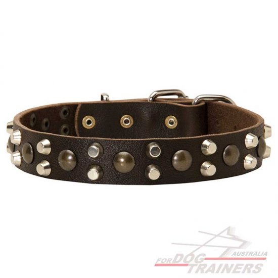 Leather Dog Collars with Studs and Pyramids