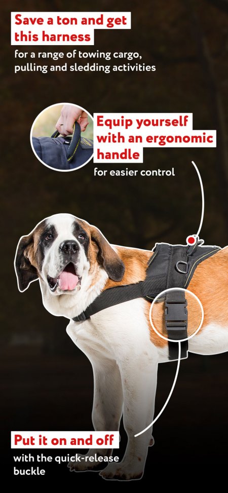 Lightweight Nylon Canine Harness for Tracking-Pulling Activities