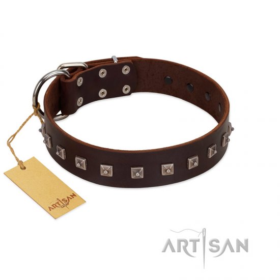 "Kingly Grace" FDT Artisan Brown Leather dog Collar with Silver-like Dotted Studs