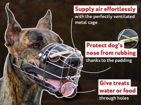 'The Silencer' One Strap Wire Basket Dog Muzzle