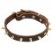 Golden Spikes Leather Walking Collar