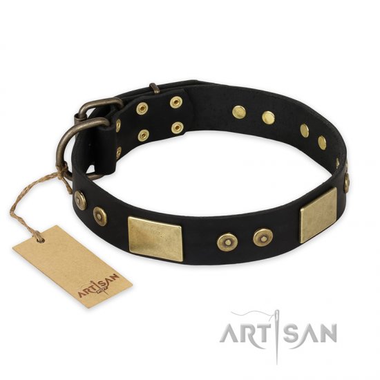 "Spanish night" FDT Artisan Fashionable Leather Walking dog Collar