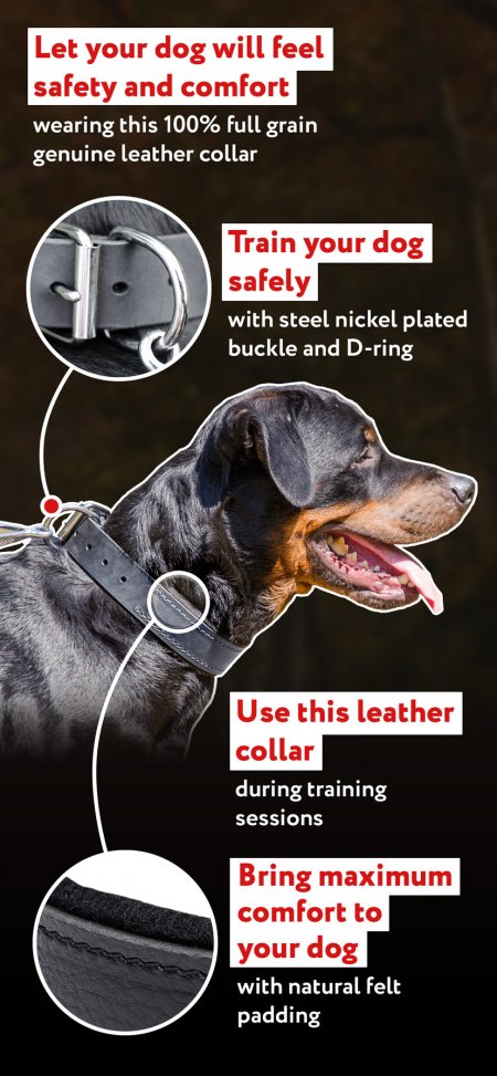 Durable Padded Leather Collar