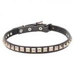 'King Studs' Leather Dog Collar with Chrome Plated Adornments - 4/5 inch (20 mm)