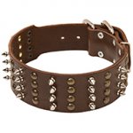 Spiked and Studded Extra Wide Leather Collar