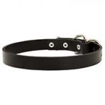 Narrow Leather Collar