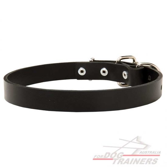 Narrow Leather Collar
