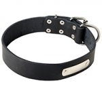 Personalized Leather Dog Collar with ID Tag