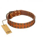 "Terra-cotta" FDT Artisan Tan Leather dog Collar with Two Rows of Studs