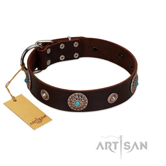 "Magic Stones" FDT Artisan Brown Leather dog Collar with Chrome Plated Brooches and Studs